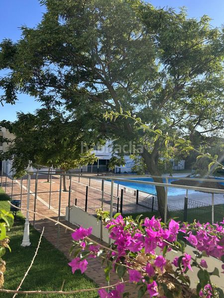 Foto 7941bdd3-50fb-4004-b3e4-d0895d4fe8ac. Estudi amb piscina a Golf - Torre Almenara Almonte