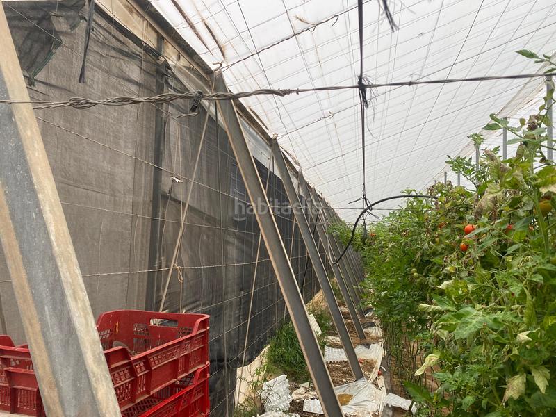 Foto 45aa5aa0-dd4e-43bf-9ba4-c01c06d63f12. Finca rústica a Pozo de los Frailes-Presillas-Albaricoques Níjar