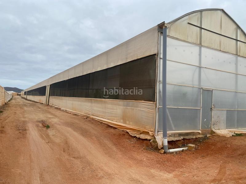 Foto 4ed58016-a7e6-4b3b-906d-7a775b547ec6. Finca rústica a Pozo de los Frailes-Presillas-Albaricoques Níjar