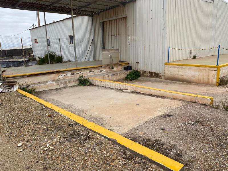 Foto 4fa8b5d7-240e-46b6-a0f1-eac792d92cd9. Finca rústica a Pozo de los Frailes-Presillas-Albaricoques Níjar