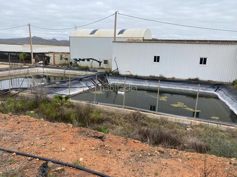 Foto 55fe103a-bc12-4cd4-a520-0b1f99568364. Finca rústica a Pozo de los Frailes-Presillas-Albaricoques Níjar