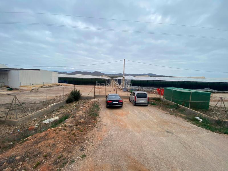 Foto 786dacc7-c322-461c-bcd7-30c942b0353e. Finca rústica a Pozo de los Frailes-Presillas-Albaricoques Níjar