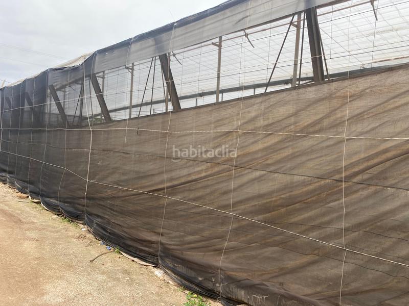 Foto 80e66406-f591-4c51-ae9d-7ed96ec23ff2. Finca rústica a Pozo de los Frailes-Presillas-Albaricoques Níjar