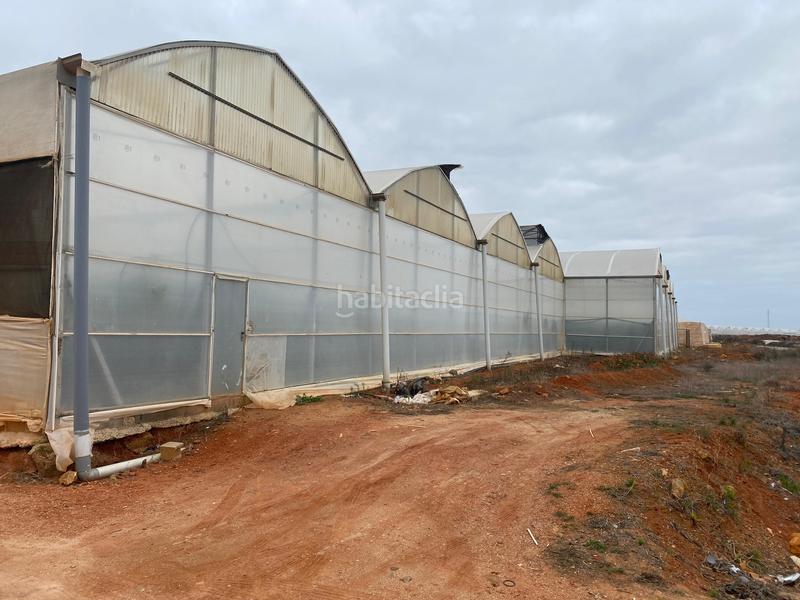 Foto 8e304759-db96-44c9-9902-731dd3b7224c. Finca rústica a Pozo de los Frailes-Presillas-Albaricoques Níjar