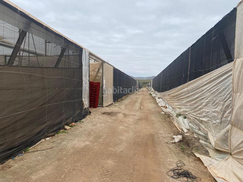 Foto 9ab97567-ac16-4de0-9f7a-6eef557edd89. Finca rústica a Pozo de los Frailes-Presillas-Albaricoques Níjar