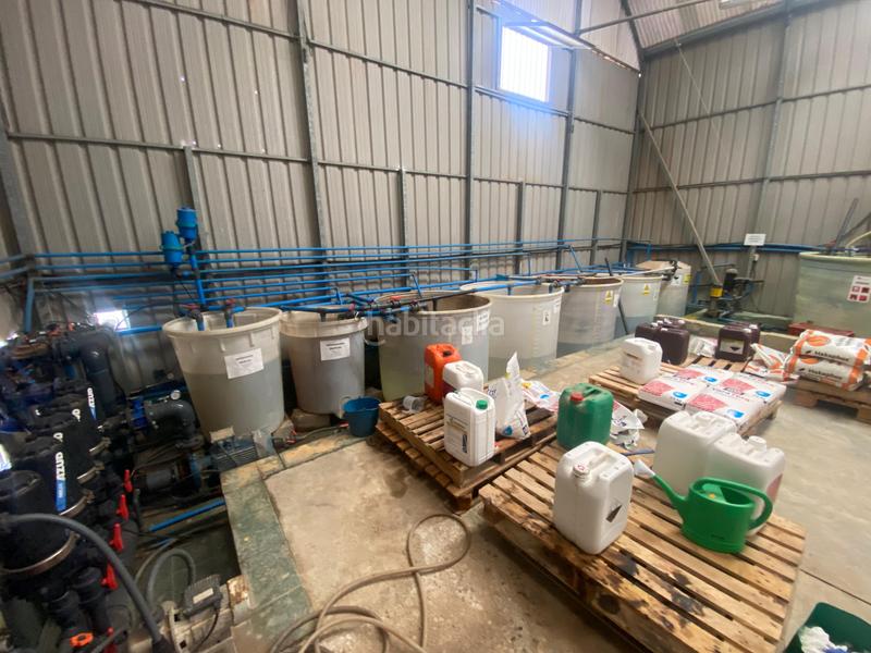 Foto b159af00-504b-4129-a0fe-73c5bf2d7d2e. Finca rústica a Pozo de los Frailes-Presillas-Albaricoques Níjar