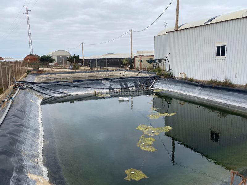 Foto bd4a3339-c5c6-48b3-82df-3a26914d3c90. Finca rústica a Pozo de los Frailes-Presillas-Albaricoques Níjar