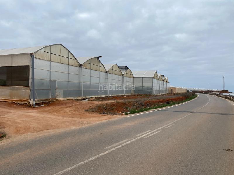 Foto cbc6689d-2eb4-4de9-bbce-9444b7acdacb. Finca rústica a Pozo de los Frailes-Presillas-Albaricoques Níjar