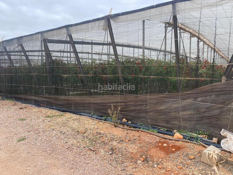 Foto d3502963-0018-418d-9367-e8ebd1dbc41d. Finca rústica a Pozo de los Frailes-Presillas-Albaricoques Níjar