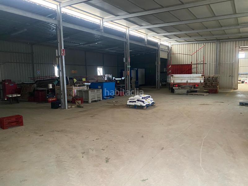 Foto f9dcfdae-ee20-4801-b78e-001de2183ed8. Finca rústica a Pozo de los Frailes-Presillas-Albaricoques Níjar