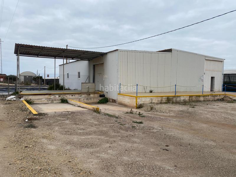 Foto fcf6681e-2830-4bdd-8187-078579cb05e6. Finca rústica a Pozo de los Frailes-Presillas-Albaricoques Níjar