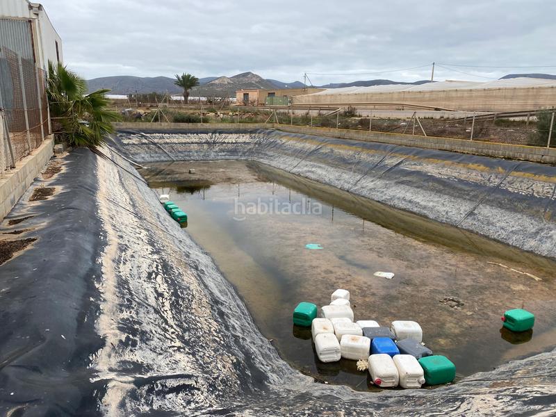 Foto ffc7e8ce-0d3f-414e-8763-17bd5b42094e. Finca rústica a Pozo de los Frailes-Presillas-Albaricoques Níjar