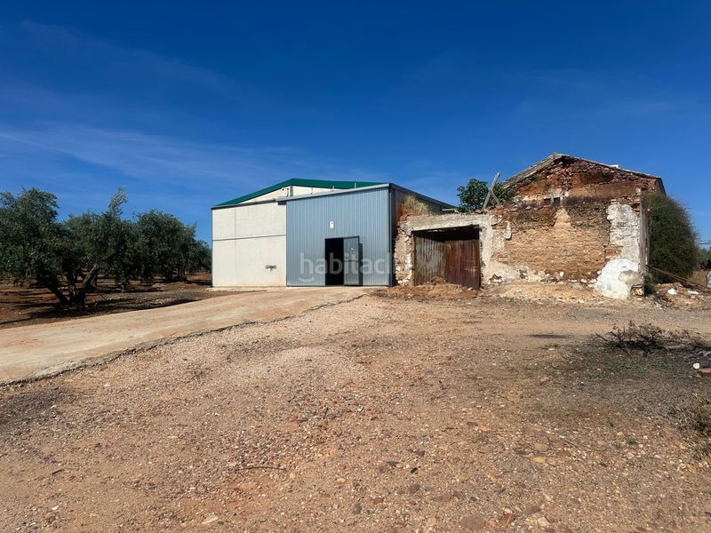 Foto 96d900e5-68a6-4681-b95d-27b2a6357904. Finca rústica a Villanueva de la Reina