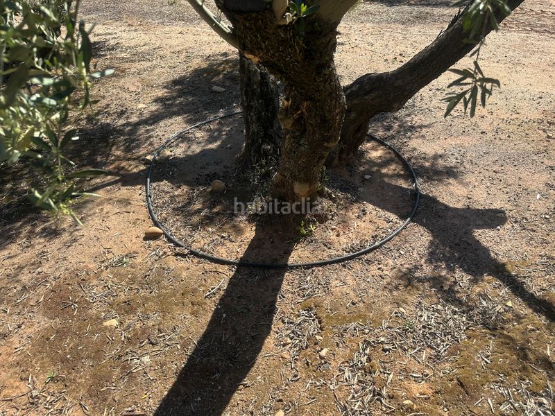 Foto b0a48171-d973-406f-8dca-d76419343225. Finca rústica a Villanueva de la Reina