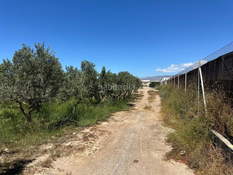 Foto 1a353060-896b-423d-b1b7-ae0e9df70a4e. Masia a San Isidro - Campohermoso Níjar