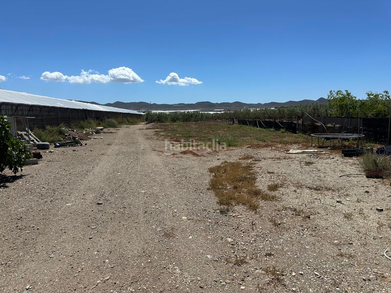 Foto c930df18-366c-4e83-9daa-ea04fceeed22. Masia a San Isidro - Campohermoso Níjar
