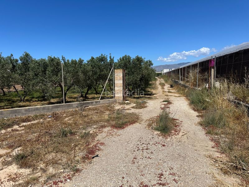 Foto e4e82fce-9034-4793-baa1-6b41097024f7. Masia a San Isidro - Campohermoso Níjar