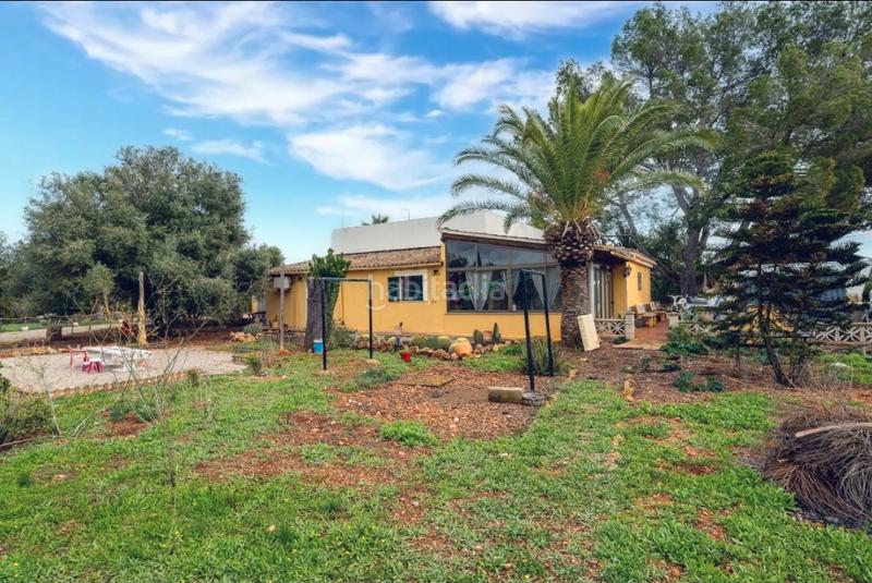 Foto 5efb84dd-bd19-4242-83f9-581b6e11493d. Chalet en camí de ca-s'hereu 3 se vende finca en Llucmajor interior Llucmajor