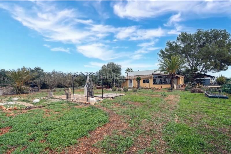 Foto 746e2cf9-e0b0-4672-83e9-effae1881452. Chalet en camí de ca-s'hereu 3 se vende finca en Llucmajor interior Llucmajor