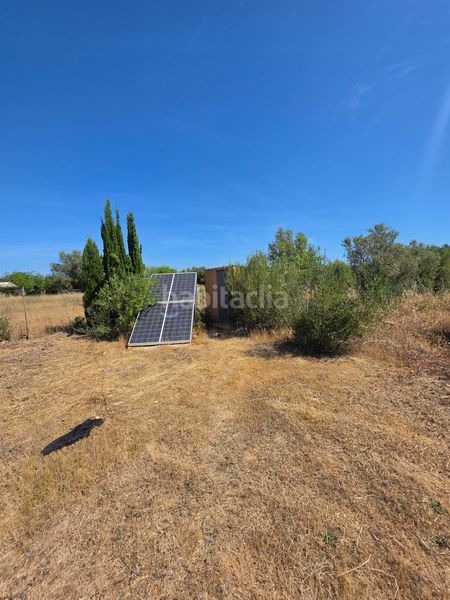 Foto 1ddd50a4-4824-4ed5-9388-6fe06ee5cf63. Finca rústica a Algaida