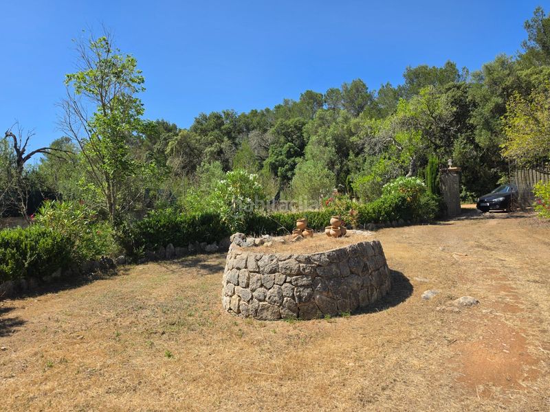 Foto 524f93fa-82d3-4bbb-a077-e8d97d8c2a79. Finca rústica a Algaida