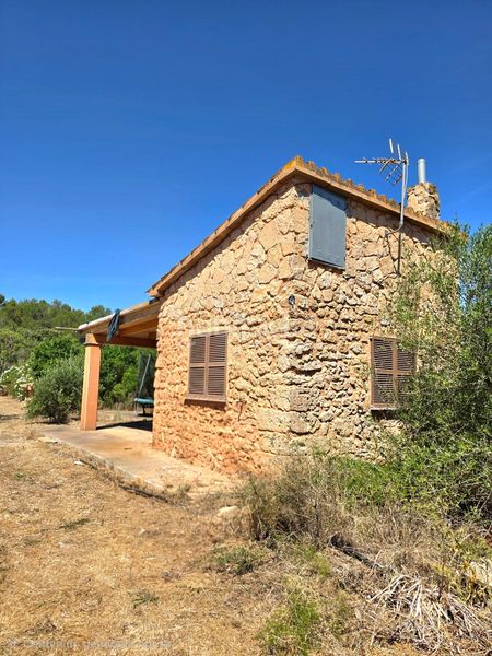 Foto 5ce0a6f5-5d88-4905-ac0f-ff8501ae00af. Finca rústica a Algaida