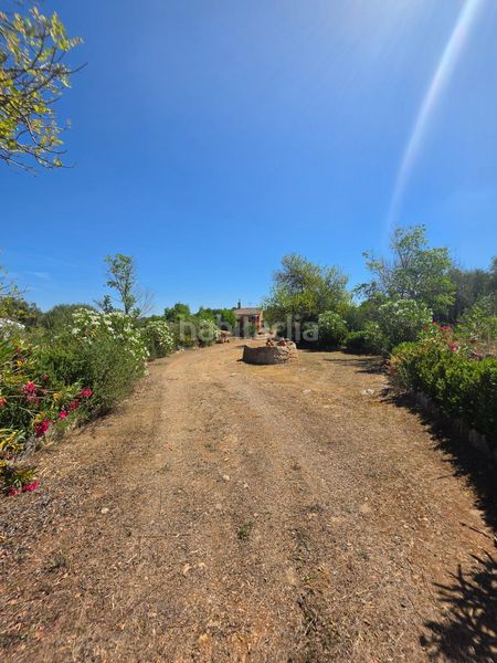 Foto 74ca5651-ae01-444e-832f-d44b7ff5eb94. Finca rústica a Algaida