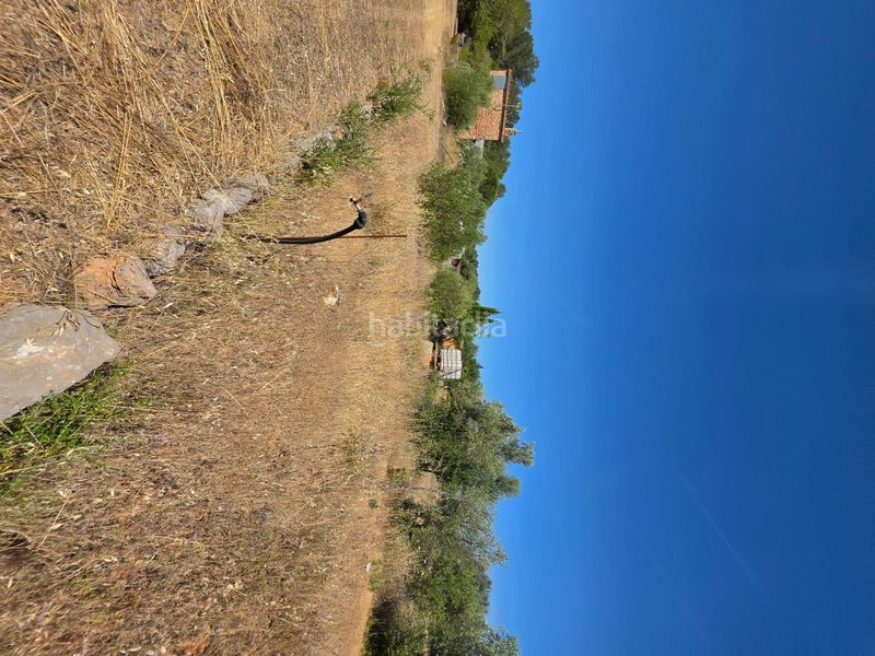 Foto 7a5d8a15-b964-45dc-8537-32597ce2c629. Finca rústica a Algaida
