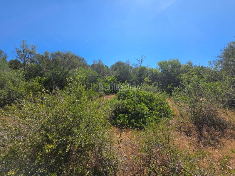 Foto 96902e6d-114a-40f6-ae73-731030e59d7d. Finca rústica a Algaida