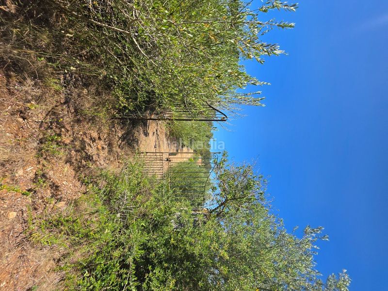 Foto b38ff397-45fa-4cfc-b730-a2a040143386. Finca rústica a Algaida