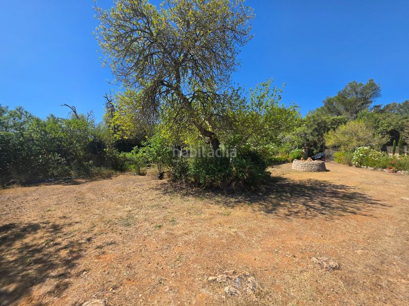 Foto b54ba2f1-f39f-4668-b390-33d084566d93. Finca rústica a Algaida