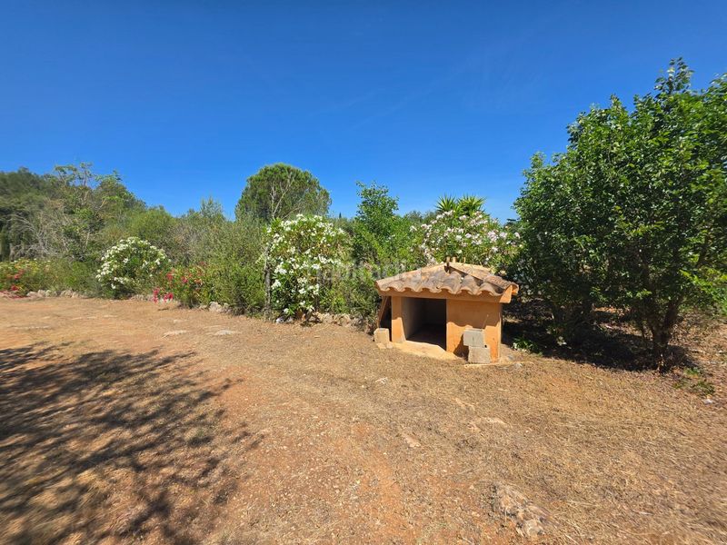 Foto bc985ce2-c6ba-420c-8267-08180f542e37. Finca rústica a Algaida