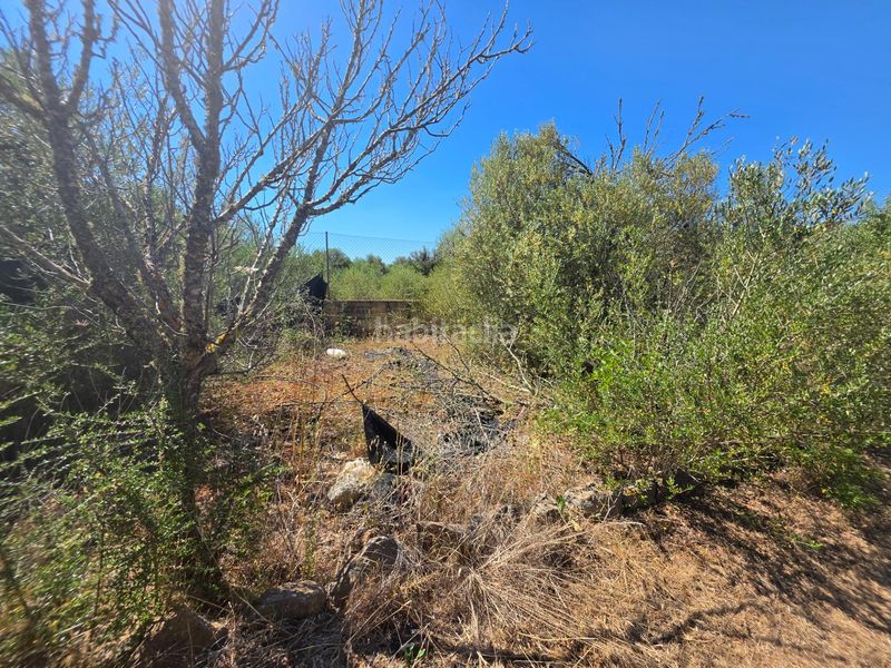 Foto cf630393-076d-42d6-8938-c6162734b822. Finca rústica a Algaida