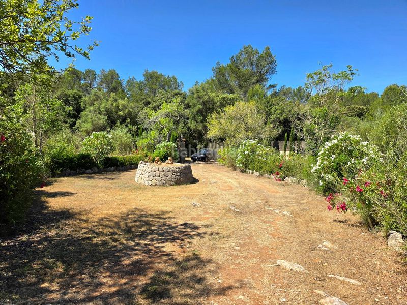 Foto dd02b1e6-5b68-4f47-b897-480366b65d82. Finca rústica a Algaida