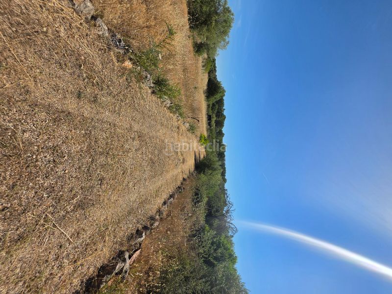 Foto f7973d41-a61c-4119-aa34-0a6325f479e2. Finca rústica a Algaida