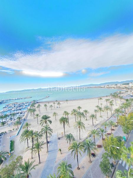 Foto ec53a713-a123-4f32-94d9-d5cc65352439. Planta baixa amb calefacció aparcament piscina a Llucmajor