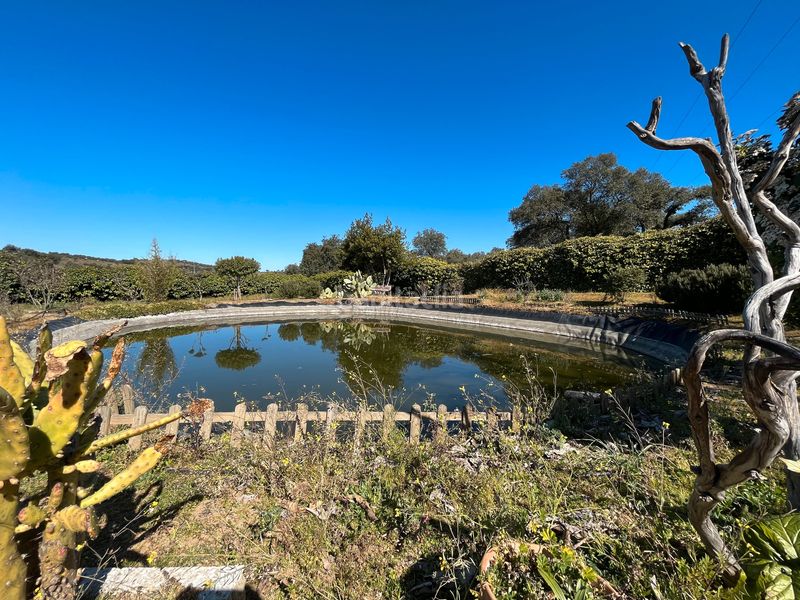 Foto 40811940-f18a-4d6b-8ef7-a0a6a5615eb1. Xalet amb calefacció piscina a Malpartida de Plasencia