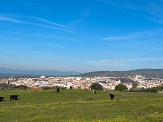 Propriété à Zona Sur - Av. De España - San Miguel. Se vende finca en sierra de santa bárbara