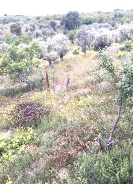 Foto 8cf4d9d8-6b31-4ade-b4d1-185505e8ed42. Chalet with fireplace heating pool in Zona Norte - Hospital - Urbanizaciones Plasencia