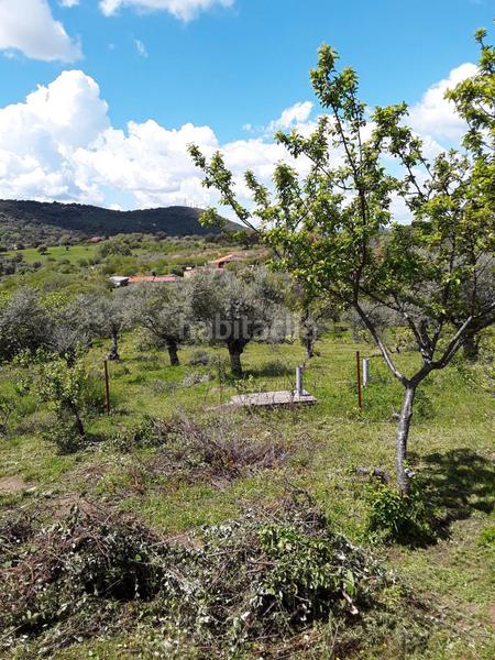 Foto f77260d6-2e26-42eb-8ba3-5c3eba8c81d9. Chalet with fireplace heating pool in Zona Norte - Hospital - Urbanizaciones Plasencia