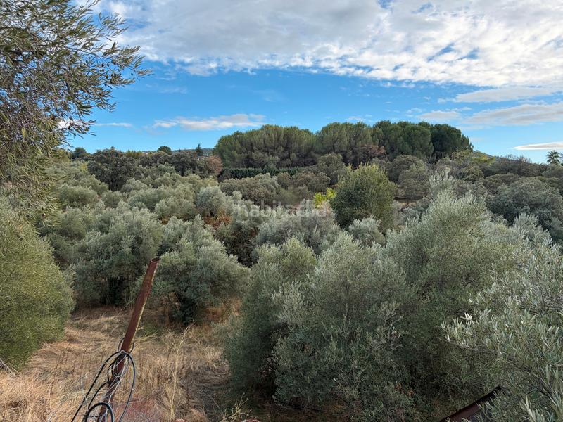 Foto e2310045-a5b5-496f-9527-59bcaf66ab8d. Chalet avec parking piscine dans Zona Norte - Hospital - Urbanizaciones Plasencia