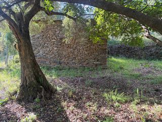 Finca rústica a N/A
