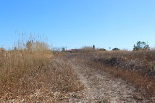 Terreno residenziale in El Grao. Terreno  castellon de la plana cmno. la plana ex131