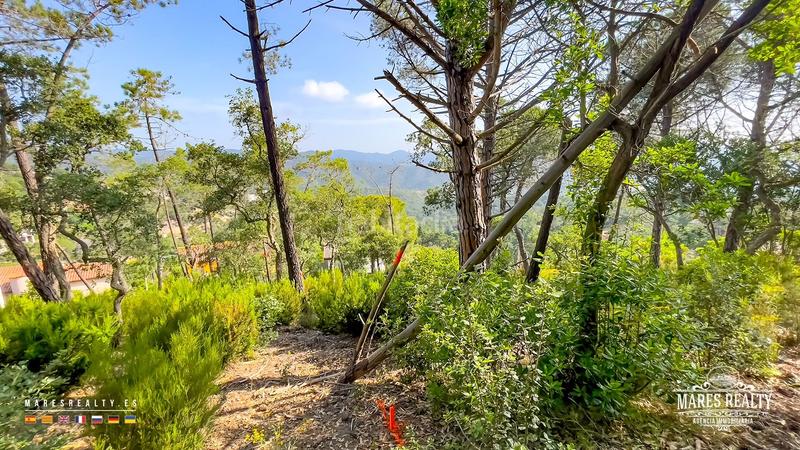 Foto 36a8ad79-b204-4aa0-a916-68772b26a69e. Terreno residenziale in Serra Brava Lloret de Mar