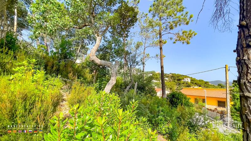 Foto 65aa2b6c-c5a4-4ede-8674-f9d2e4623e0e. Terreno residenziale in Serra Brava Lloret de Mar