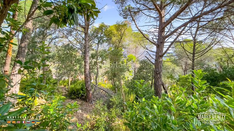 Foto 908c5501-d5ed-4d0d-bc91-f73ddc72290d. Terreno residenziale in Serra Brava Lloret de Mar