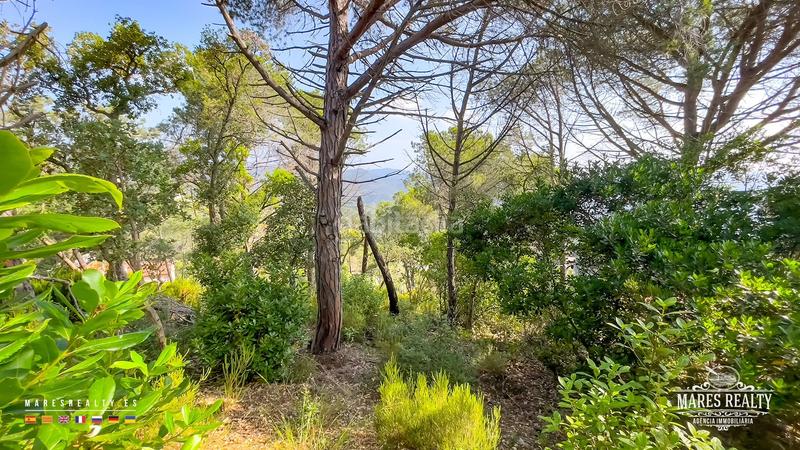Foto b61b914a-b6e3-4618-b1ea-c37f50ed5bae. Terreno residenziale in Serra Brava Lloret de Mar