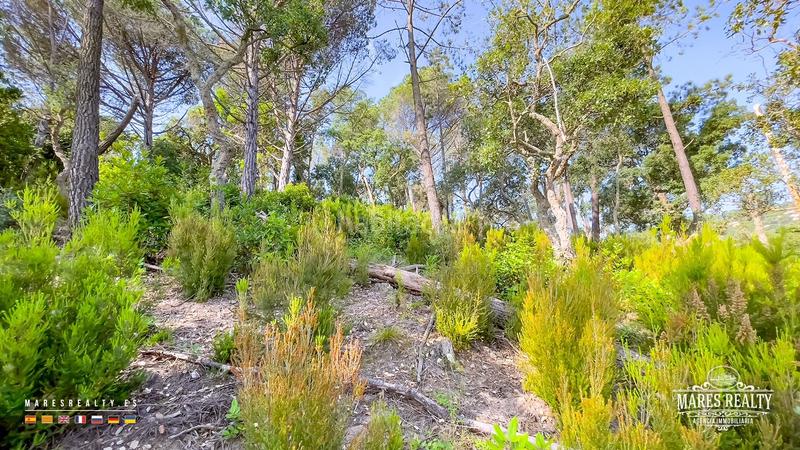 Foto bcb9d535-9ff6-4dd3-990f-e0167eb557c0. Terreno residenziale in Serra Brava Lloret de Mar