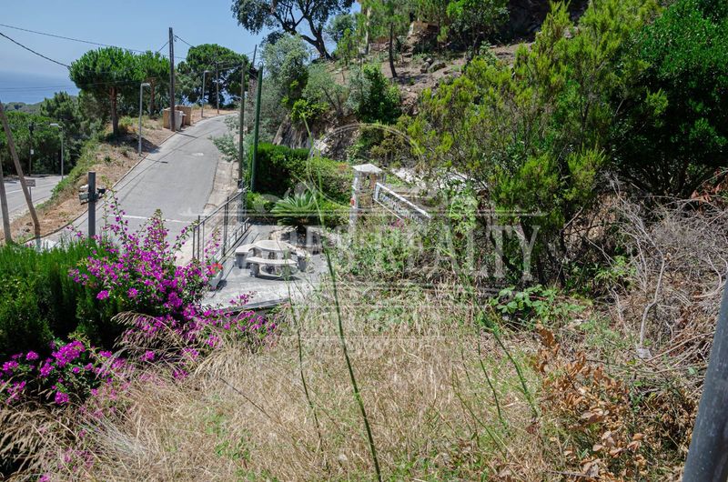 Foto 0f5d1ce7-74b9-408c-be3a-4997f4c4706b. Terreny residencial a Serra Brava Lloret de Mar