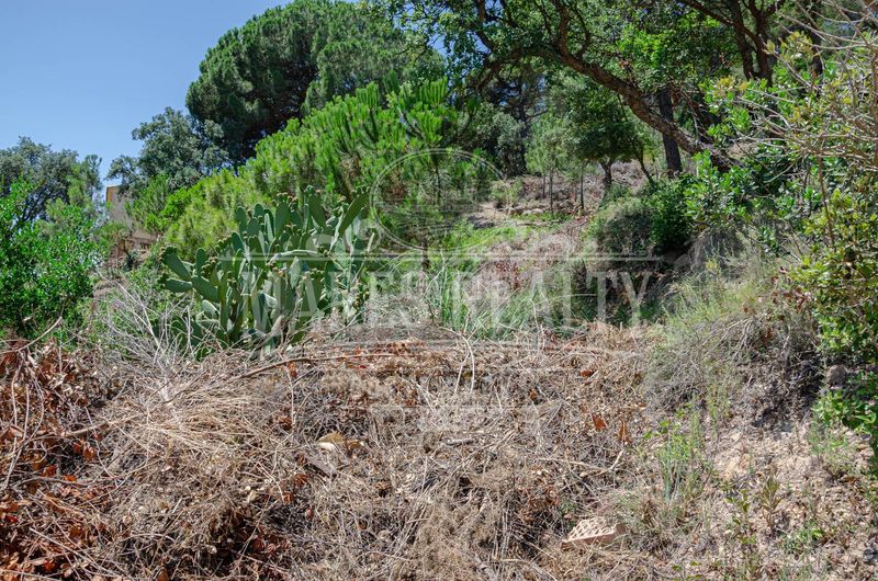 Foto 29066eb2-f1d1-4bef-8093-d9d09bf4d0dd. Terreny residencial a Serra Brava Lloret de Mar
